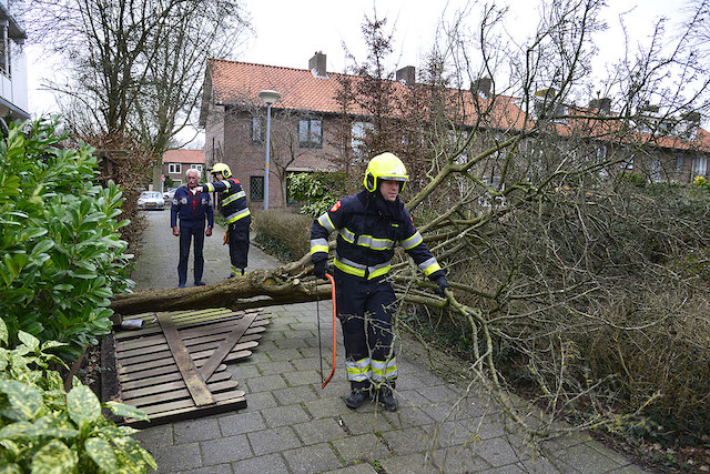 2020/35/20200209-16u15 GB 001 Stormschade Plesmanlaan.jpg